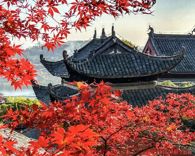 图说怀化｜龙兴讲寺美丽景色