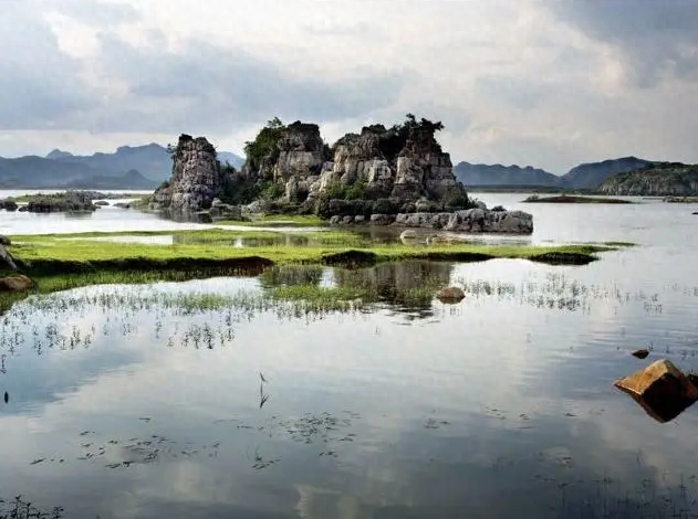在海峰湿地看水里面的黄昏丨吕娜