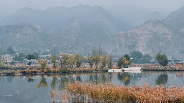 甘肃永靖：白日候鸟舞黄河 夜晚渔火映星河