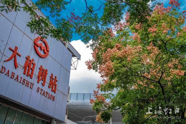 “最美地铁站”栾树秋景上线！