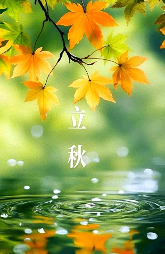 60年一遇闭眼秋：今年立秋后天气会凉快吗？