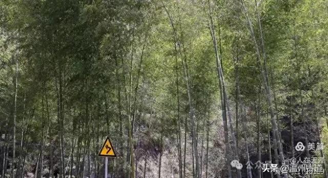 温州最北的千年古村！被人遗忘的深山秘境！