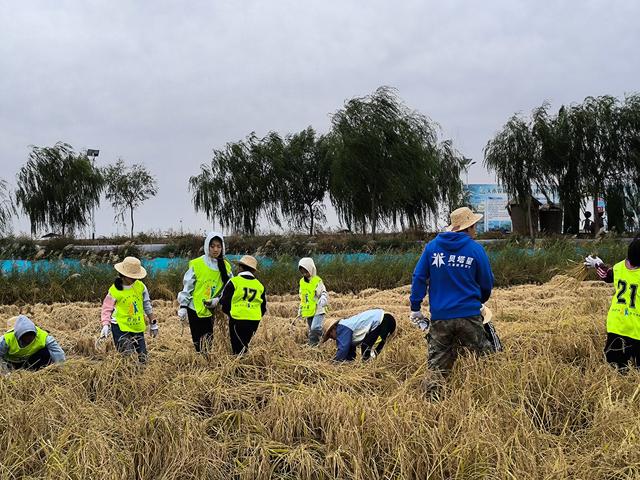 国庆假期包头市东河区多地成网红打卡地