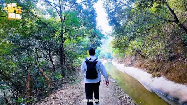 藏不住了！玉林这里又发现一处清凉秘境