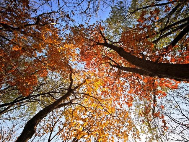 发现丰台之美 | 诗意北宫,醉美金秋