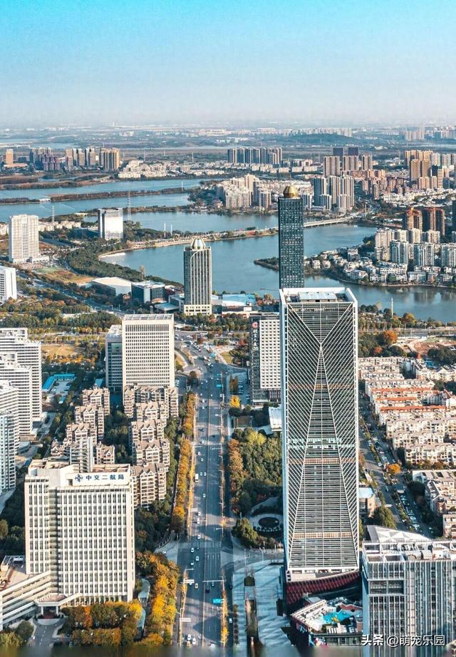 清晨金银湖薄雾散开，径河公园帐篷如花朵，常青花园邻里情浓厚