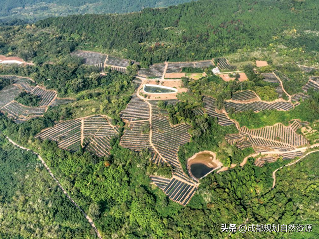 “两山”理念20年丨让巴山蜀水更加秀美安澜