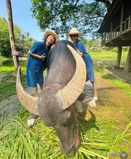 62岁韦唯现状：脊柱断裂已恢复，前夫已死，三个混血儿子回国相伴