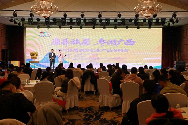 2025桂黑旅游企业产品对接会成功举办 共推冬季广西特色旅游新体验