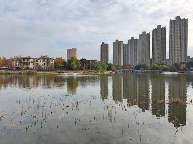 不是?有人说“马年”,为什么偏要来这里?