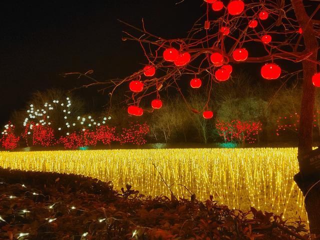 百年古仓闹元宵！丰图义仓嘉年华非遗、汤圆、光影盛宴邀您赴约