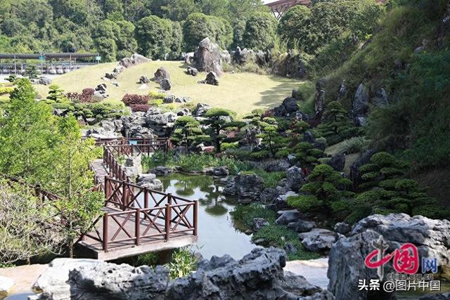 昔日“疤痕”变美景 探访南宁园博园矿坑花园生态修复项目