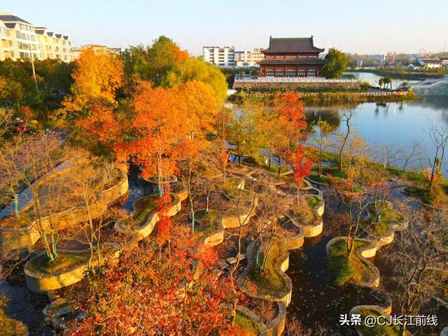 河南：大美淮滨金秋更美丽！