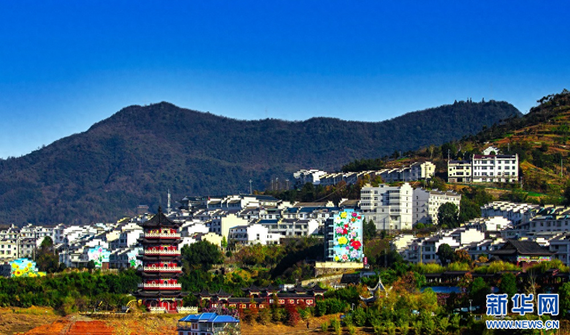 湖北竹山：上庸鲜花小镇绽放别样浪漫