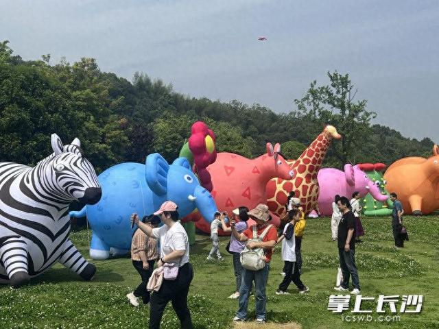 趣野长动万兽来潮，动物园国庆为游客打造沉浸式游园盛宴