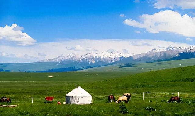 蒙古女孩的功夫姻缘（上）