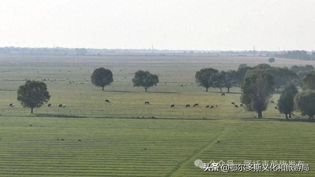 鄂托克前旗：闯进现实版绿野仙踪 邂逅巴彦希泊日草原
