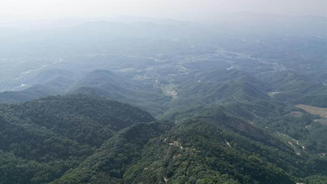 一山一水带动一条村！小流域“变形记”造就佛山农文旅融合发展典范