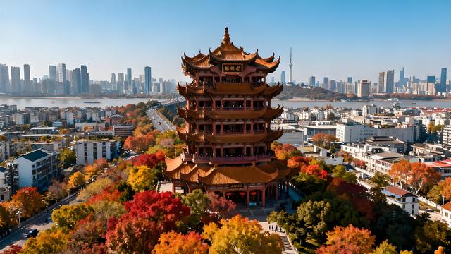 枫染东湖金菊绽，江天秋水共天长 —— 武汉清秋漫游志