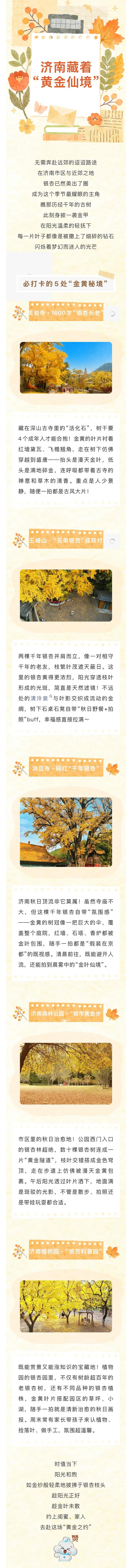 这个冬天，济南藏着“黄金仙境”