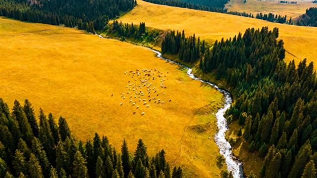 长风掠过天山麓，秋韵漫染乌鲁木齐 —— 丝路名城的鎏金诗卷