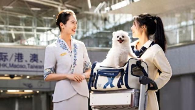 “一人两宠”！旅客可同时携带两只宠物进入飞机客舱