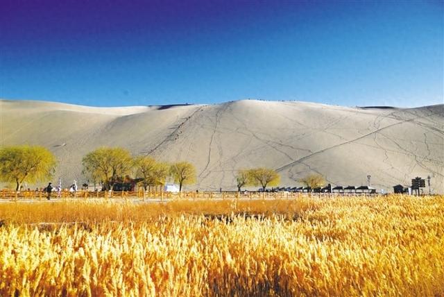 多维发力显成效 敦煌旅游市场持续火热