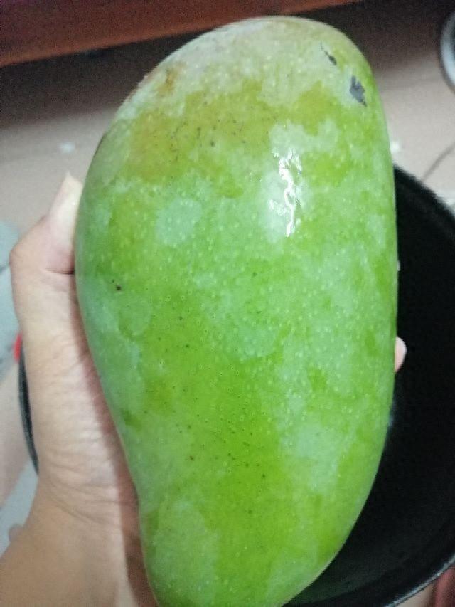 腌制青芒果教学（第一次腌制芒果）
