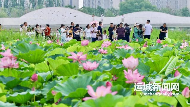 记者观察｜城市公园渐成市民精神滋养地
