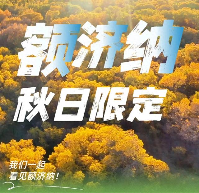今晚8点启幕！2025年第二十六届额济纳金秋胡杨生态文化旅游节启动仪式震撼来袭~