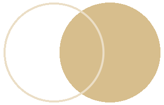 节日里的凌源博物馆
