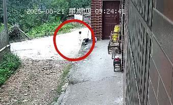 湖南新邵突然失踪的2岁女孩平安找到，当地公安：在距离家1公里外的山林石缝中发现