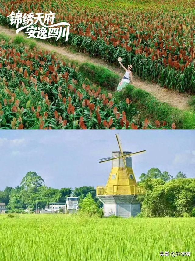 四川的秋！是令人心动的秋！