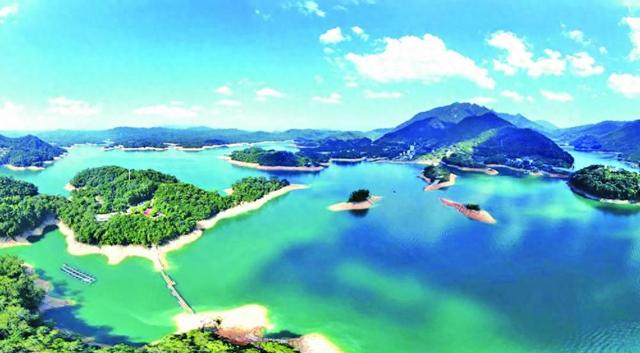 茂名seo优化优势（工业大省广东生态蝶变 一边造林增绿 一边以智赋绿）