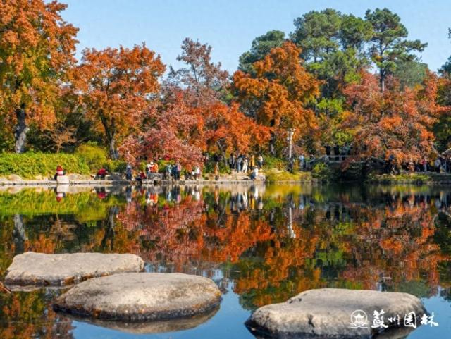 大流量预警！别开车去