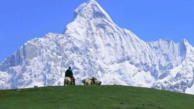 汉庭酒店，又给行业上了一课