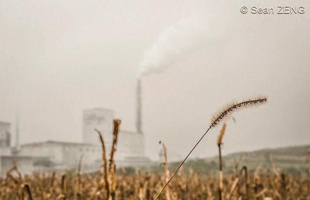 2025年11月2日 第73页