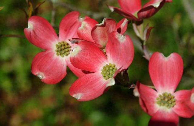 情感爆文：爱是信任	，不是占有，是心心念念的彼此牵挂