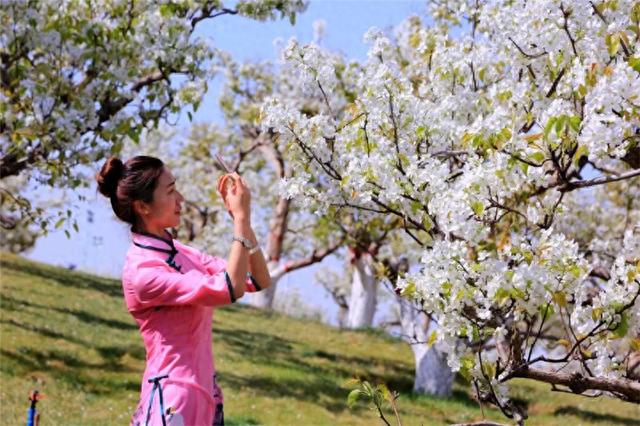 春天来库尔勒！肉孜节假期，这份梨城春游指南，刷爆朋友圈