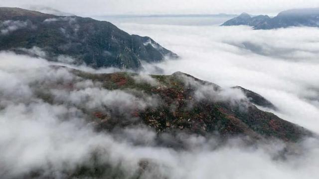 嵩山红叶预告，第一波惊艳正在上线！