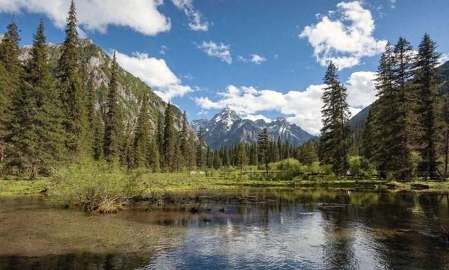 严禁非法穿越，违规或面临生态赔偿 四川王朗片区发布最新公告