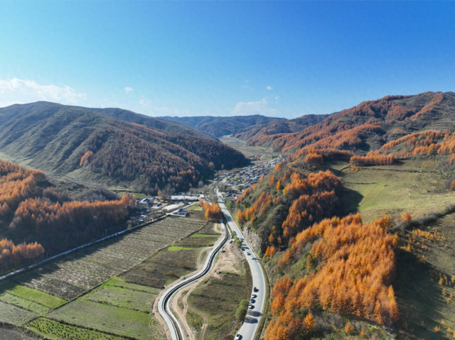 天嘉路上秋意浓