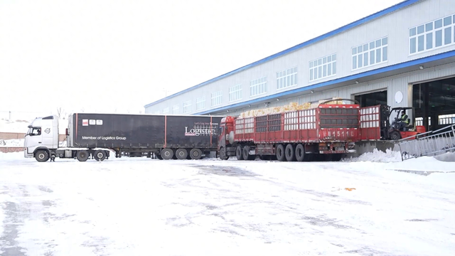 出口结构优化（新疆吉木乃口岸出口结构优化升级 多元贸易格局赋能向西开放）