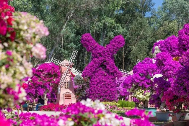 赏花周来了，停车场暂停开放，记得收好这份出行指引！