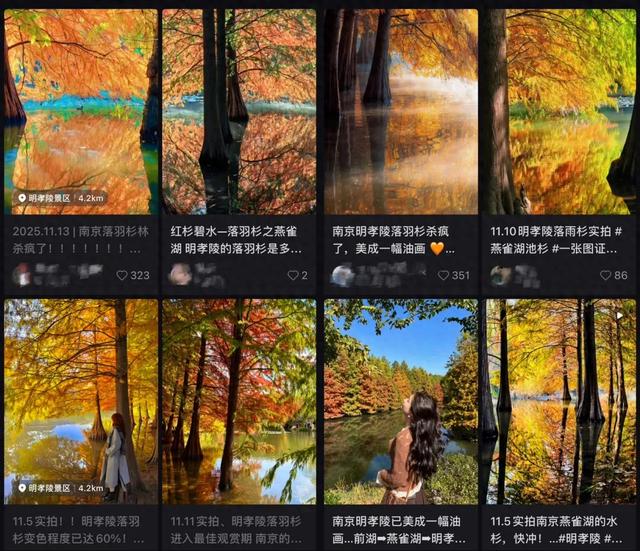 时间在这里按下暂停键，让我们见证季节变换