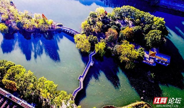 落叶、湖光与暖阳，解锁津市三湖公园的冬日浪漫