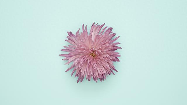 12月25日，星期四，亥猪，即将有事发生