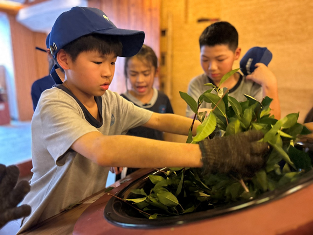 记者点击：山区研学游，如何迈向研学“优”？