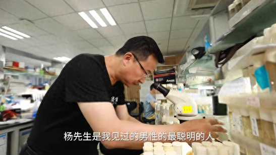 饶毅眼中的杨振宁：聪明优雅，他是我见过最聪明的人