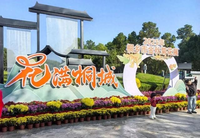 本周末截止！桐乡人，赶紧来打卡这场菊花展